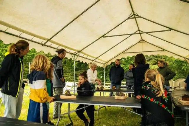 Stage Vannerie osier