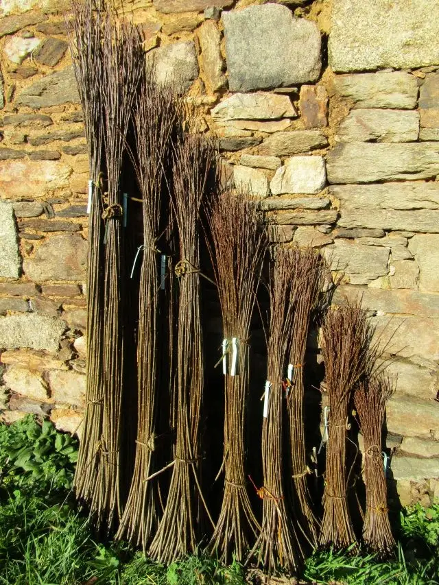 Bottes Osier Noir de Villaines