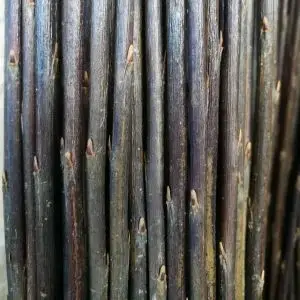 Osier Brut Brins couleur vert foncé