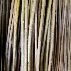 Osier Brut Brins couleur vert-jaune