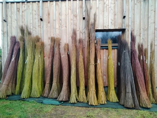 Couleurs de la Récolte 2026